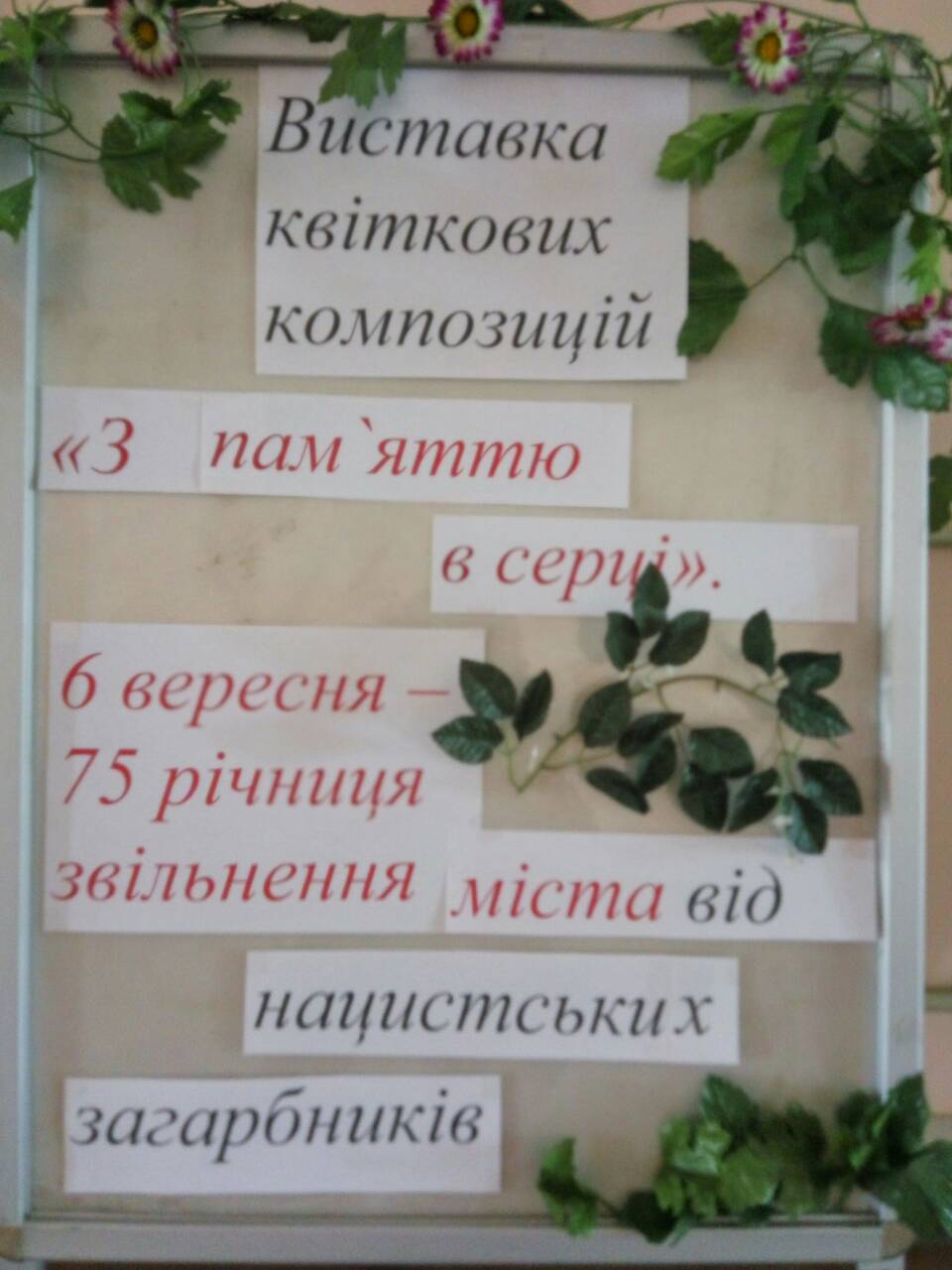 0-02-04-4233864ac9d84680e2a498bd1c749f206c2d8d460180bbe232fdcac42609f486_a491f6c6