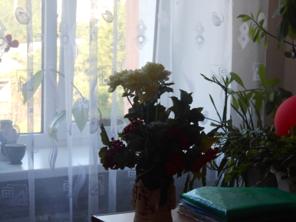 DSCN1858