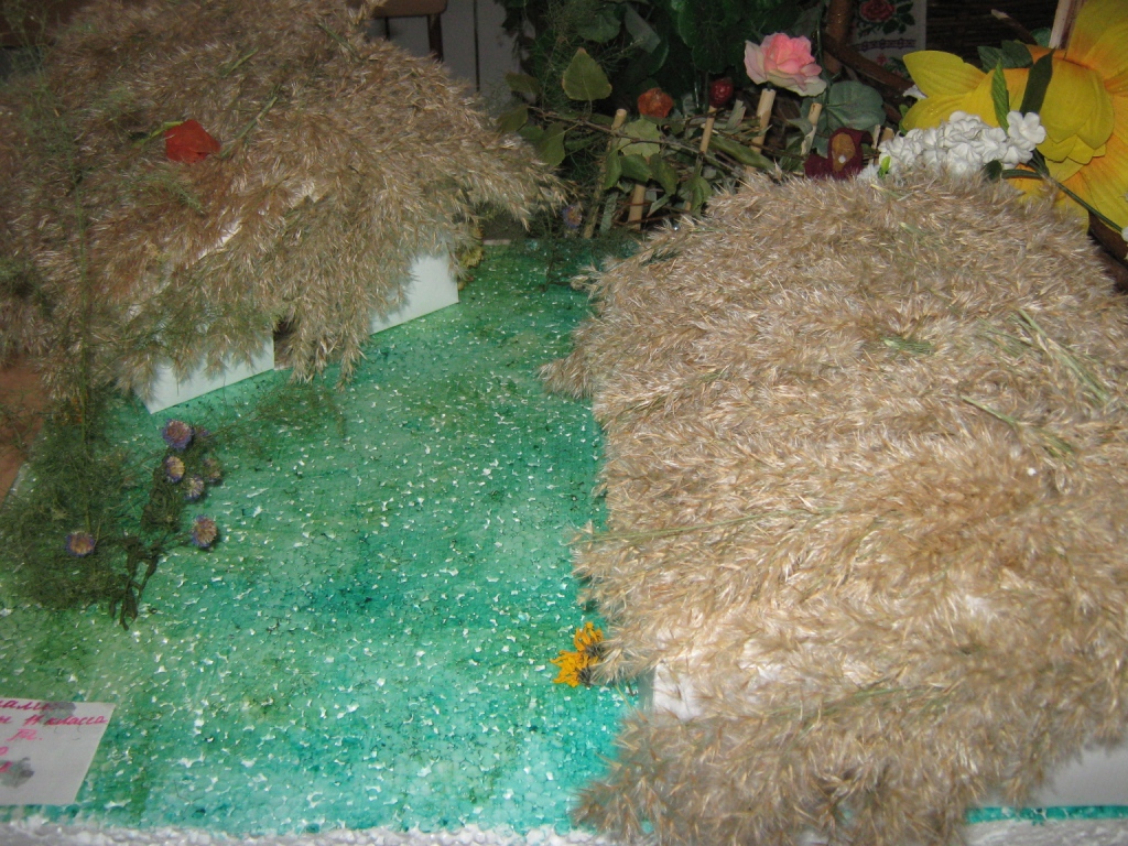 IMG_0889.JPG