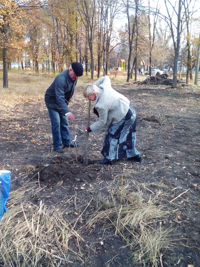 IMG_20151101_103911.jpg