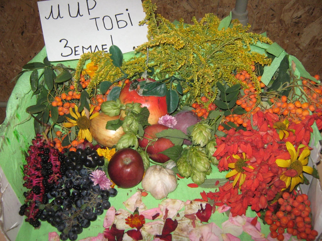 IMG_0749.JPG